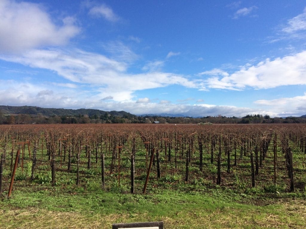 Sonoma County