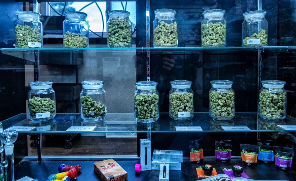 usa marijuana tourism colorado