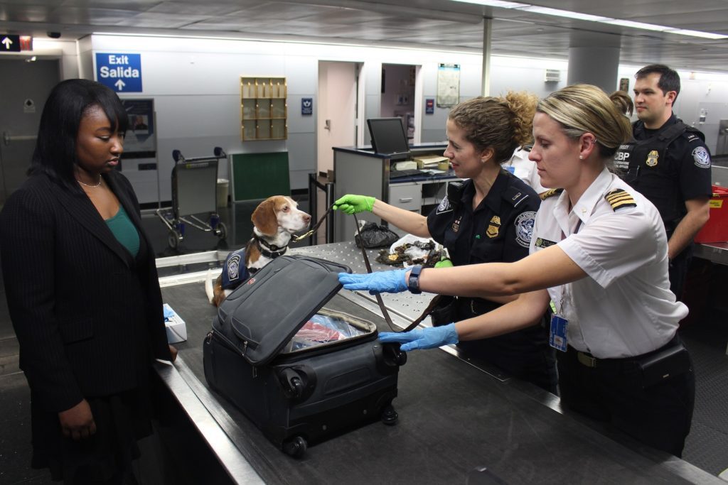 mobile passport control mpc