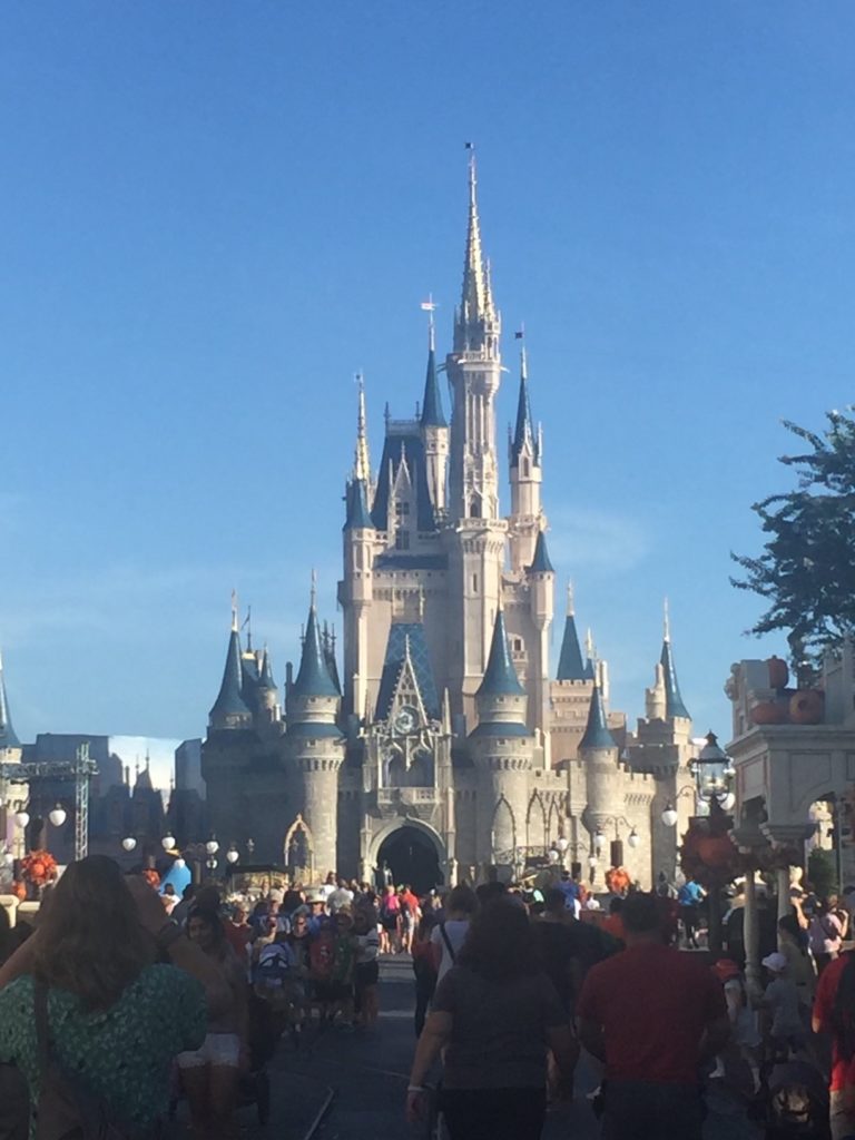 travel agent disney magic kingdom cinderellas castle