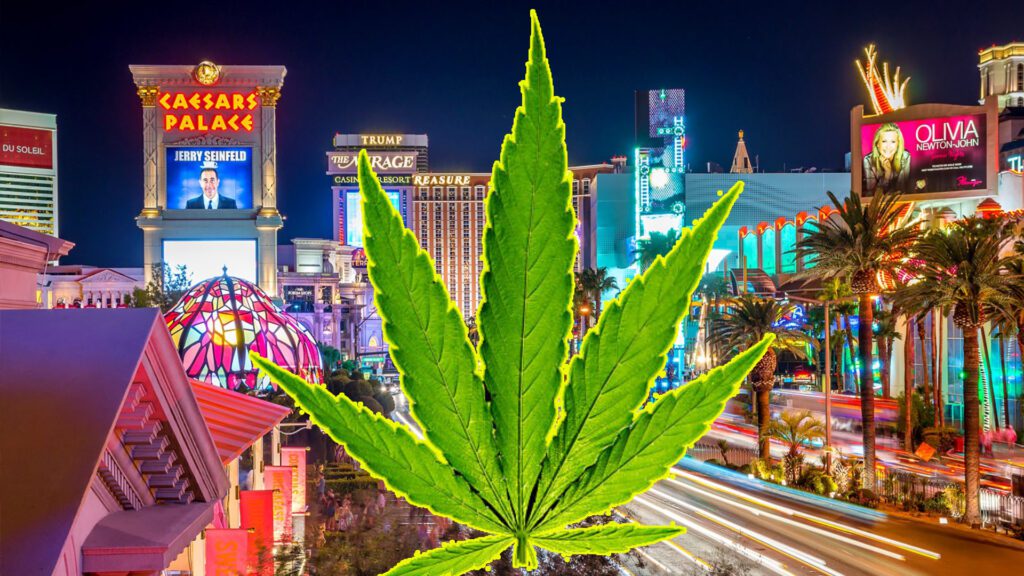Cannabis Lounges