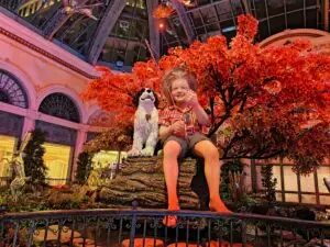 Bellagio Conservatory Fall Display